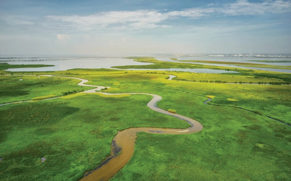 aerial shot of wetlands in baldwin county